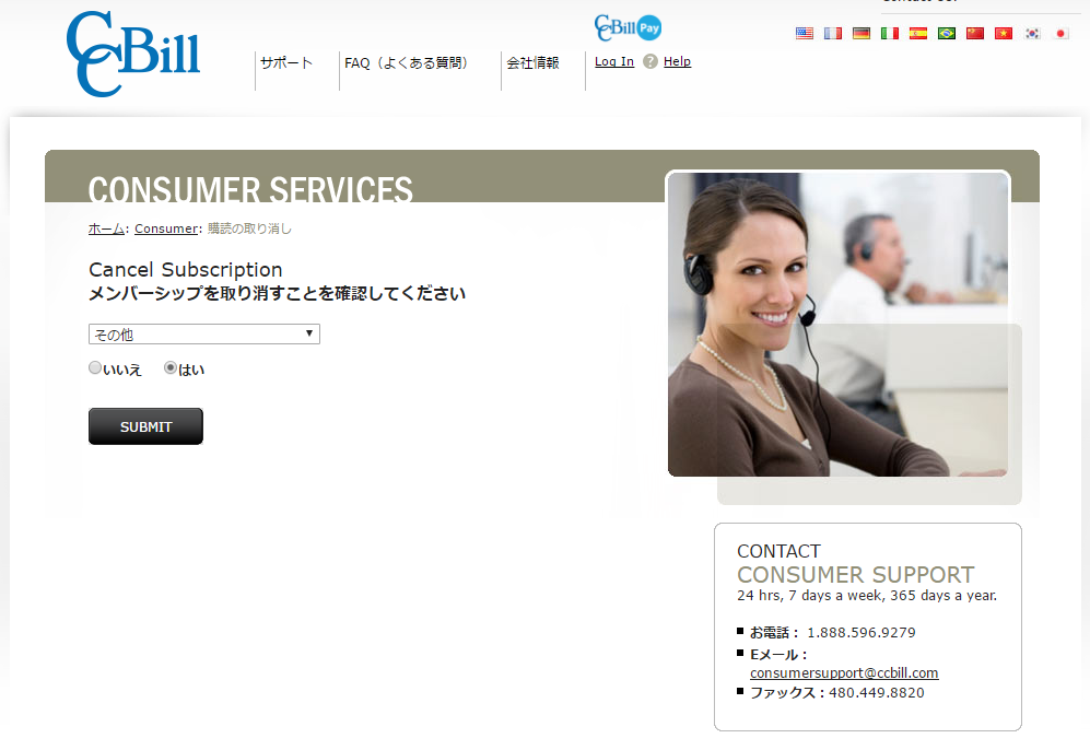 CCBILL�̑މ�摜3